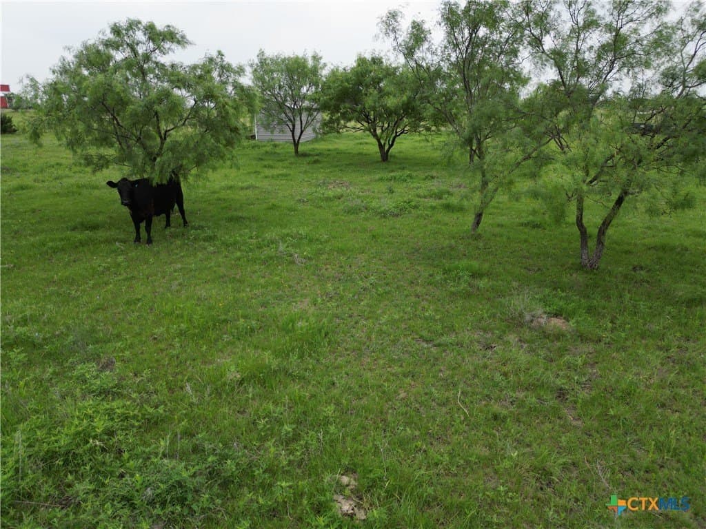 20.02 acres in Lampasas County - photo 11