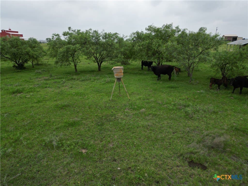 20.02 acres in Lampasas County - photo 10