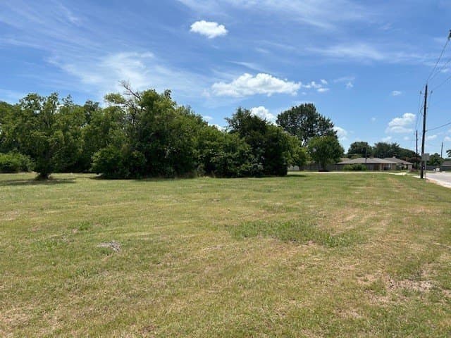 0.39 acres in Dallas County - photo 11