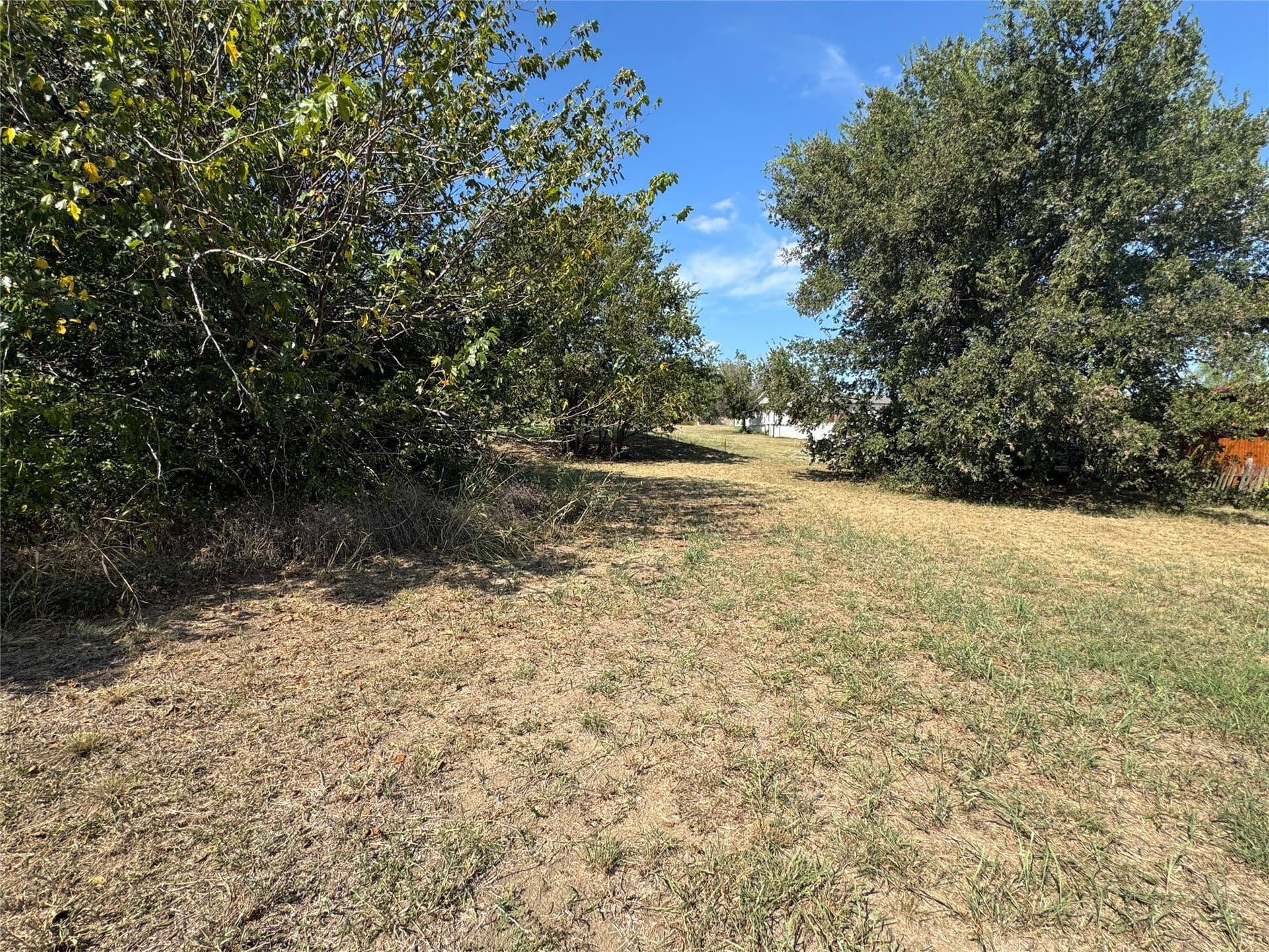 0.25 acres in Wise County gallery image 2