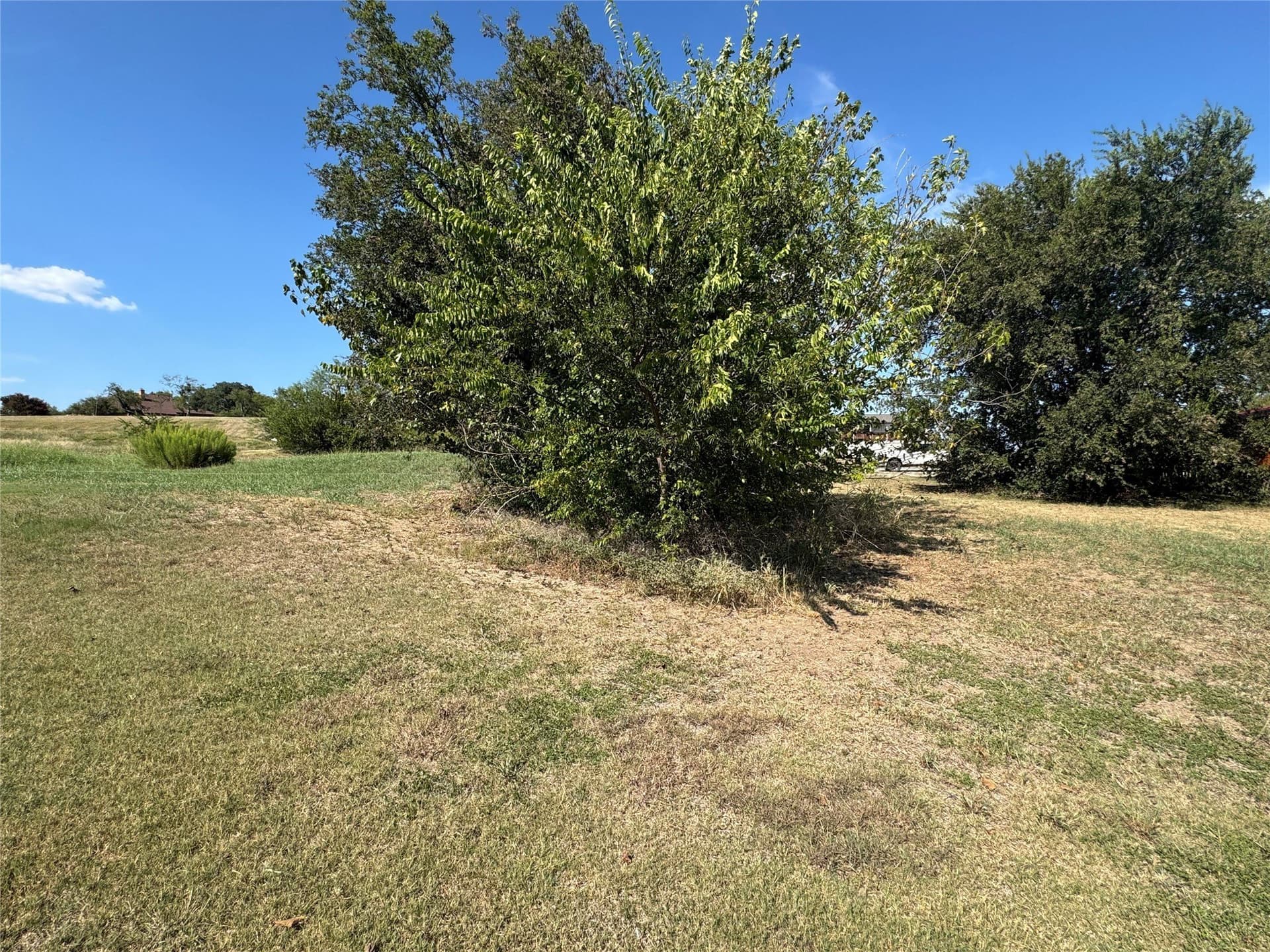 0.25 acres in Wise County gallery image 3