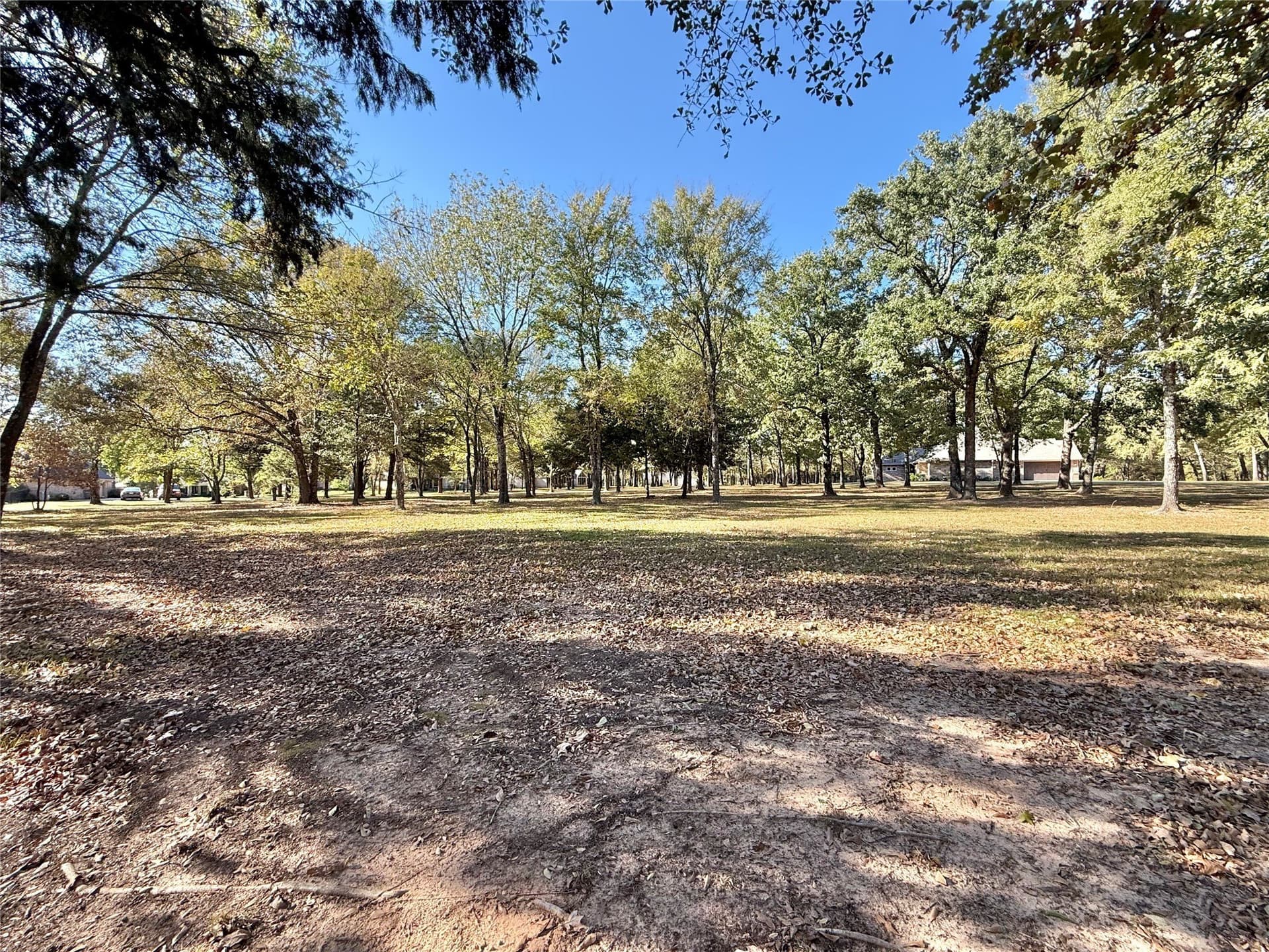 0.66 acres in Wood County - photo 6