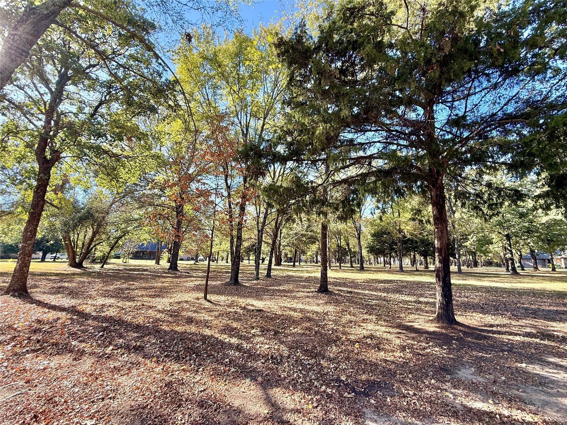 0.66 acres in Wood County - photo 13