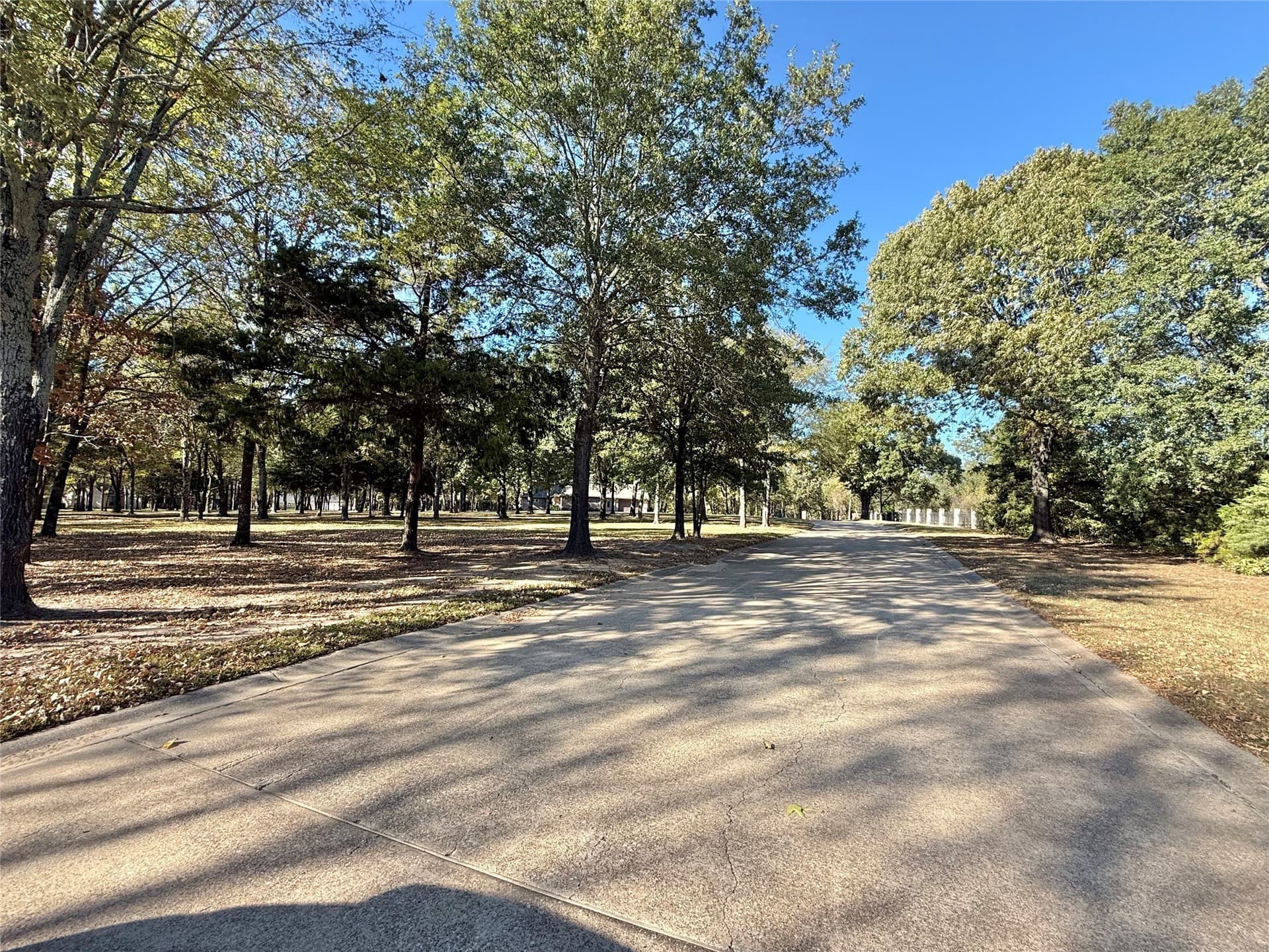 0.66 acres in Wood County gallery image 4
