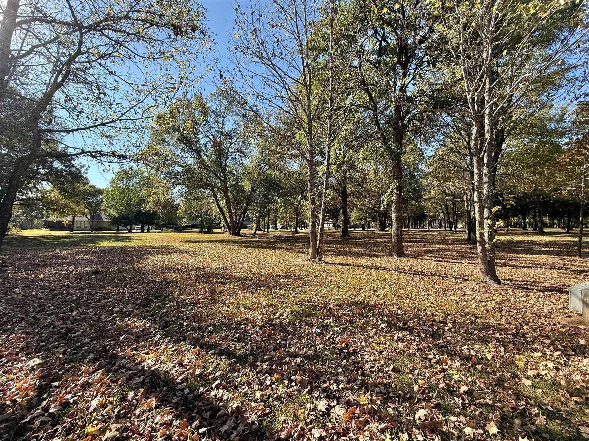 0.66 acres in Wood County featured view