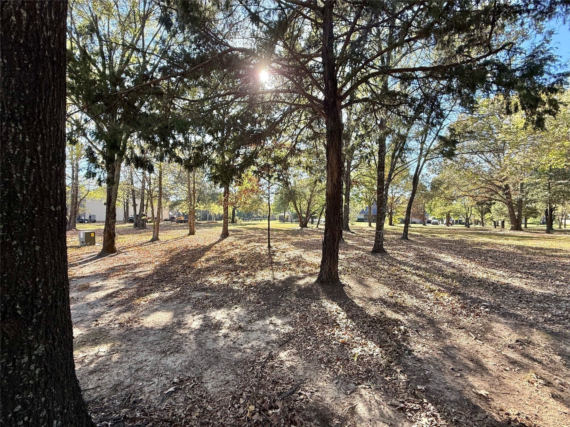 0.66 acres in Wood County - photo 9
