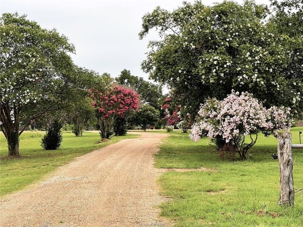 30 acres in Robertson County - photo 34