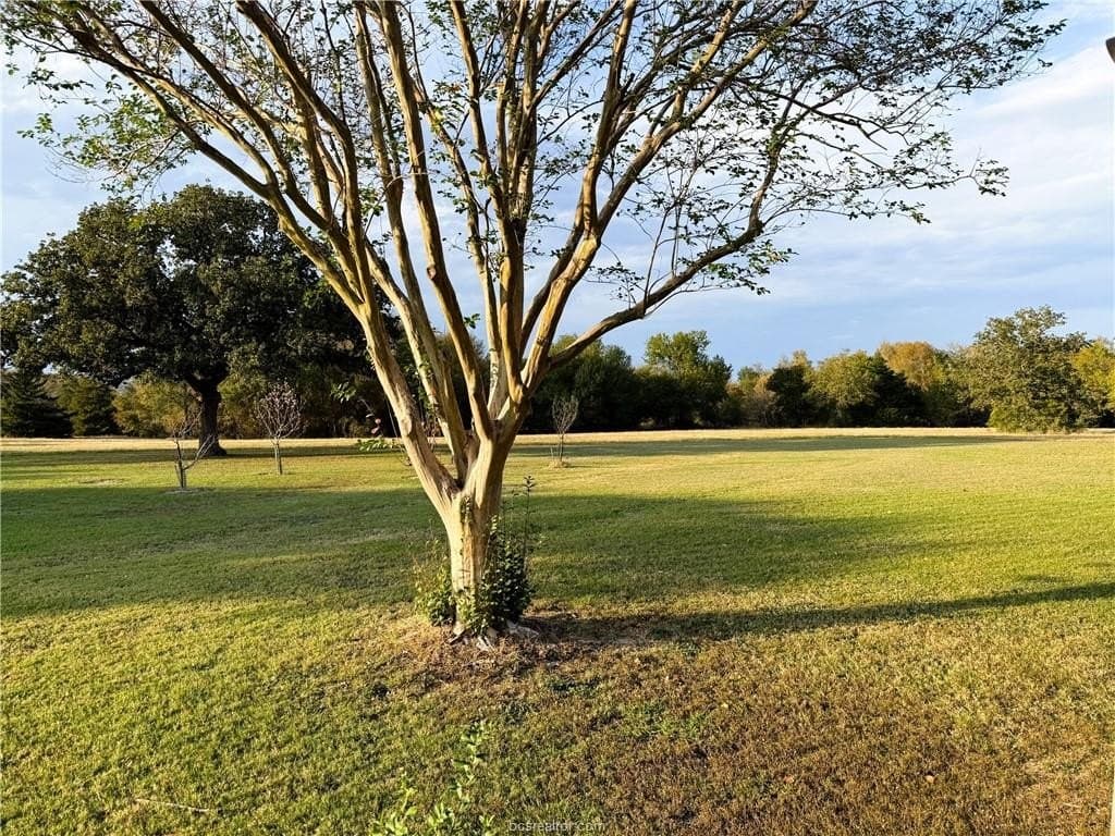 30 acres in Robertson County - photo 36