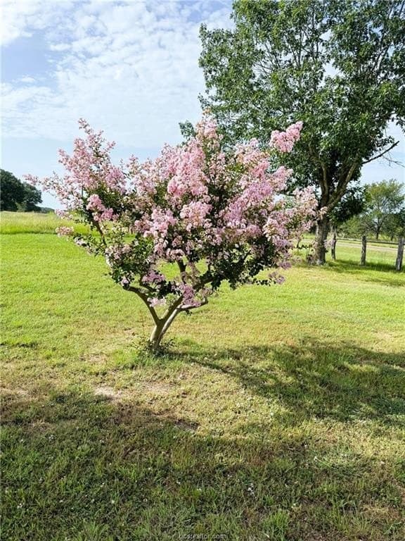 30 acres in Robertson County - photo 33