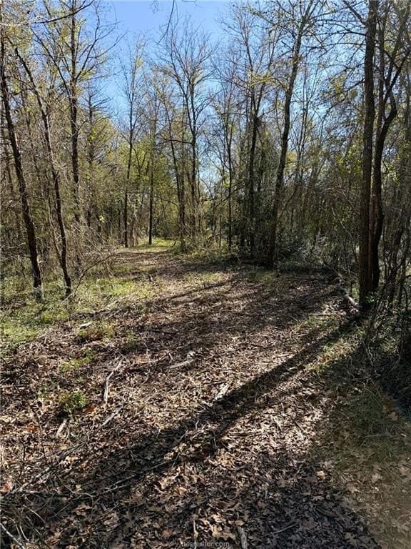 30 acres in Robertson County - photo 45