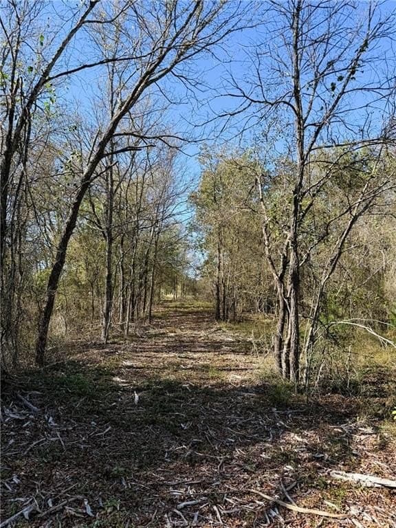 30 acres in Robertson County - photo 44