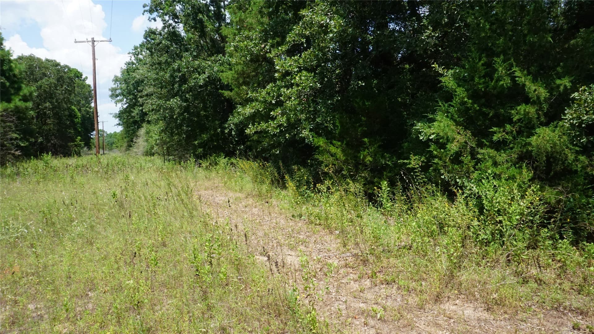 9 acres in Wood County - photo 19