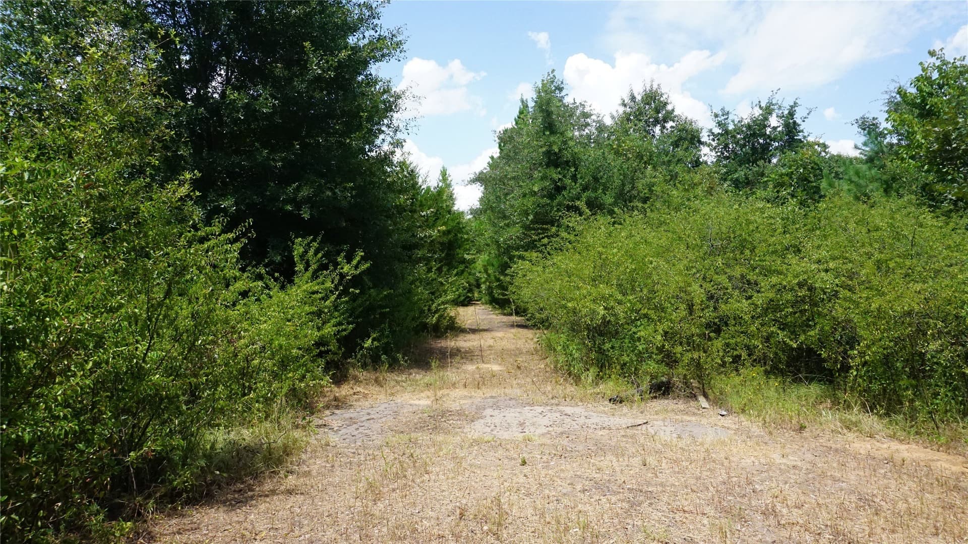 9 acres in Wood County - photo 11