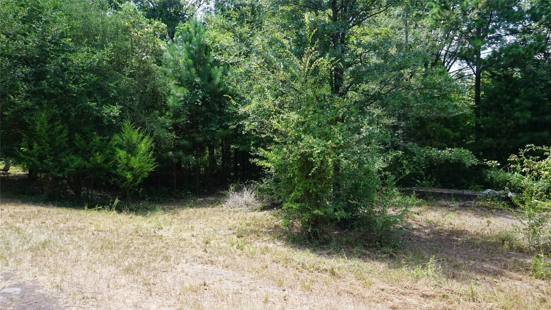 9 acres in Wood County - photo 10