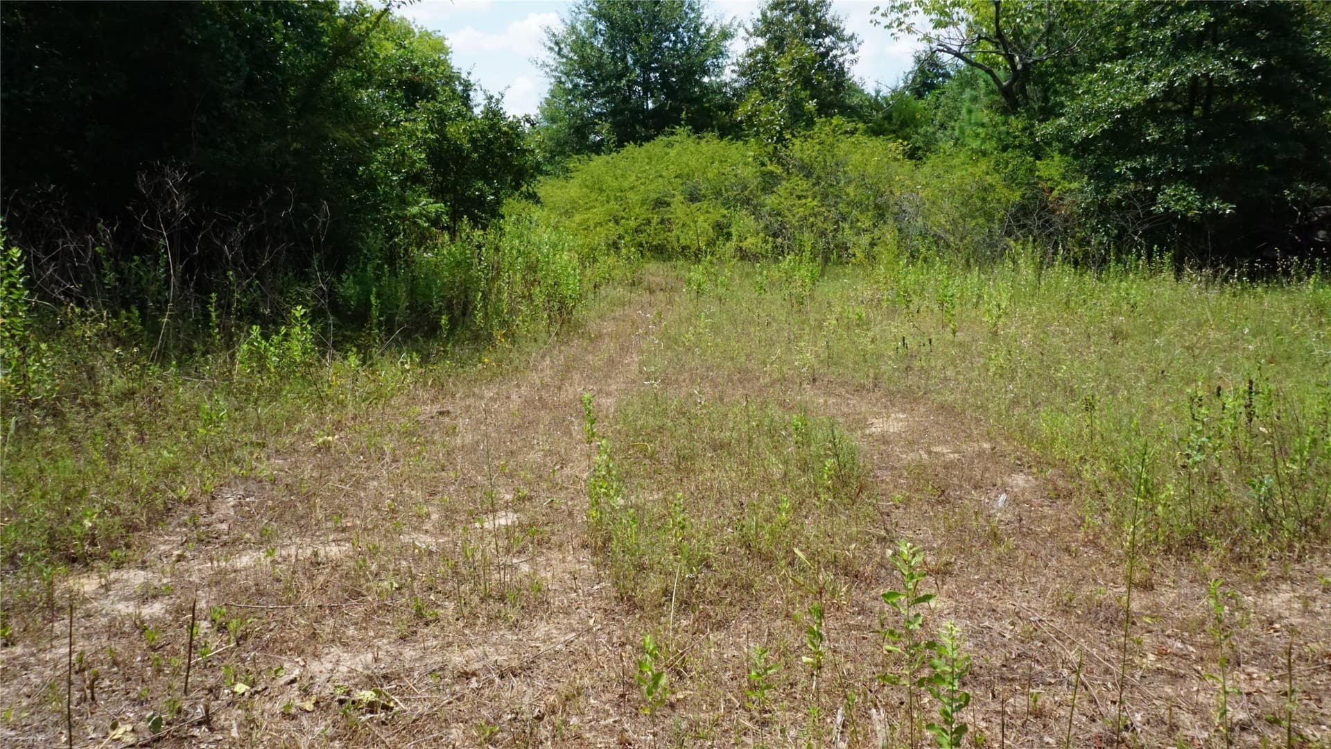 9 acres in Wood County - photo 20