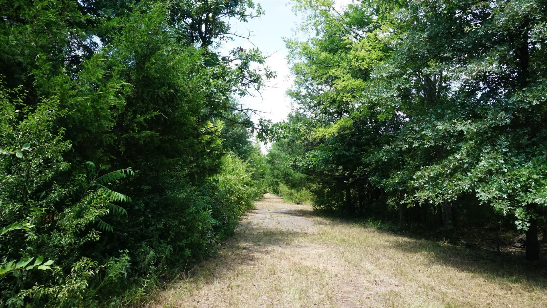 9 acres in Wood County - photo 6