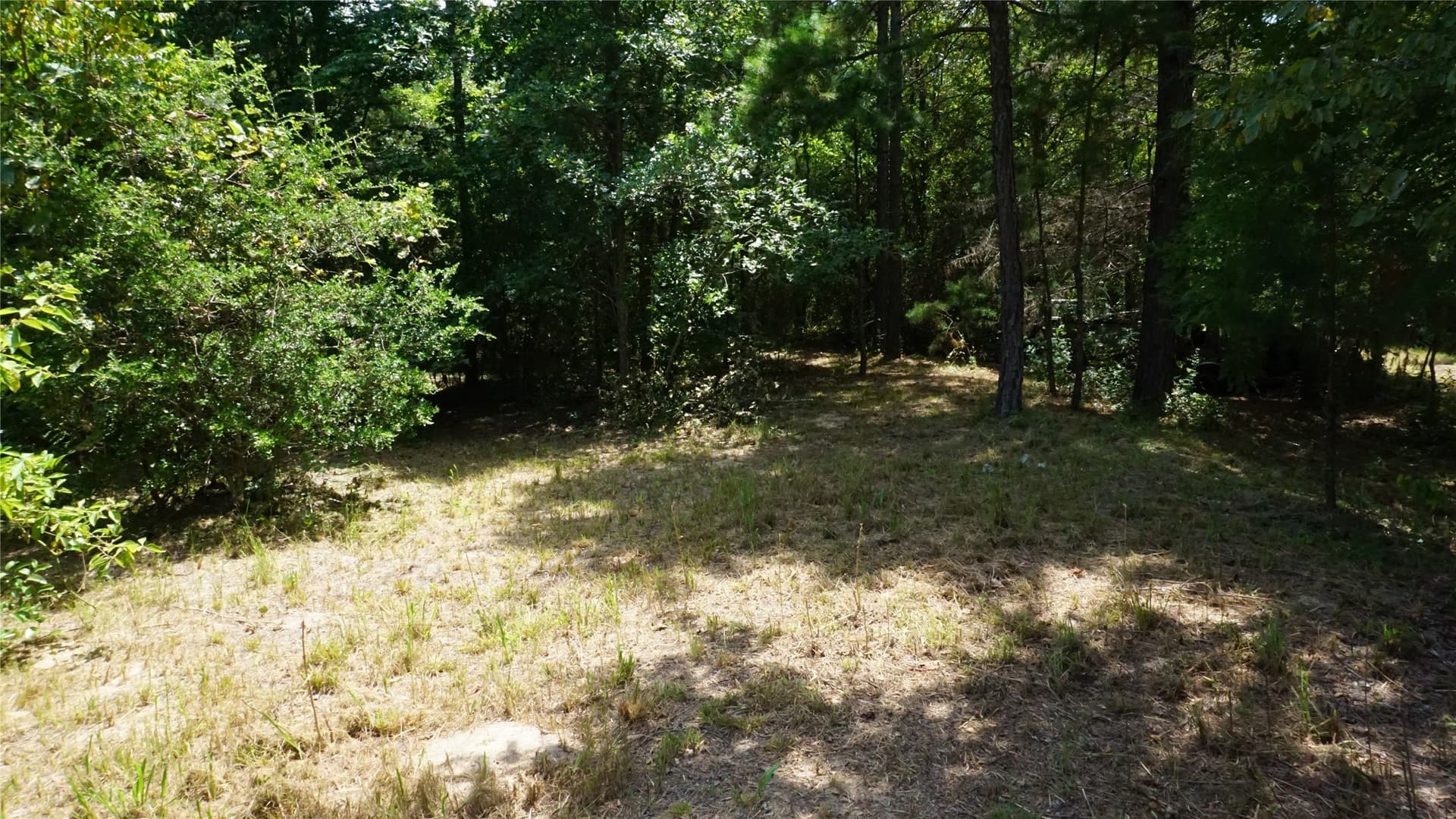 9 acres in Wood County - photo 22