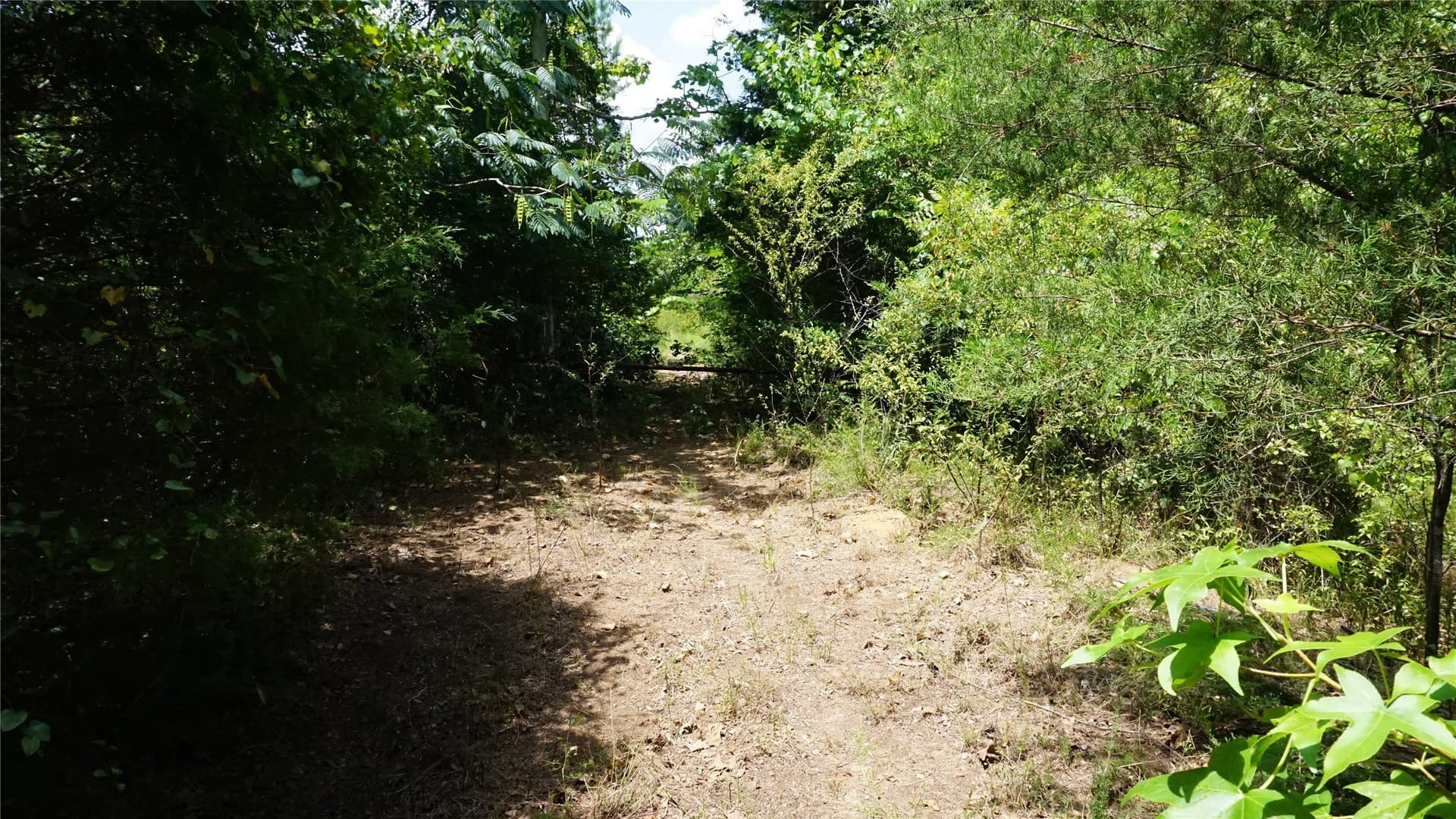 9 acres in Wood County - photo 29