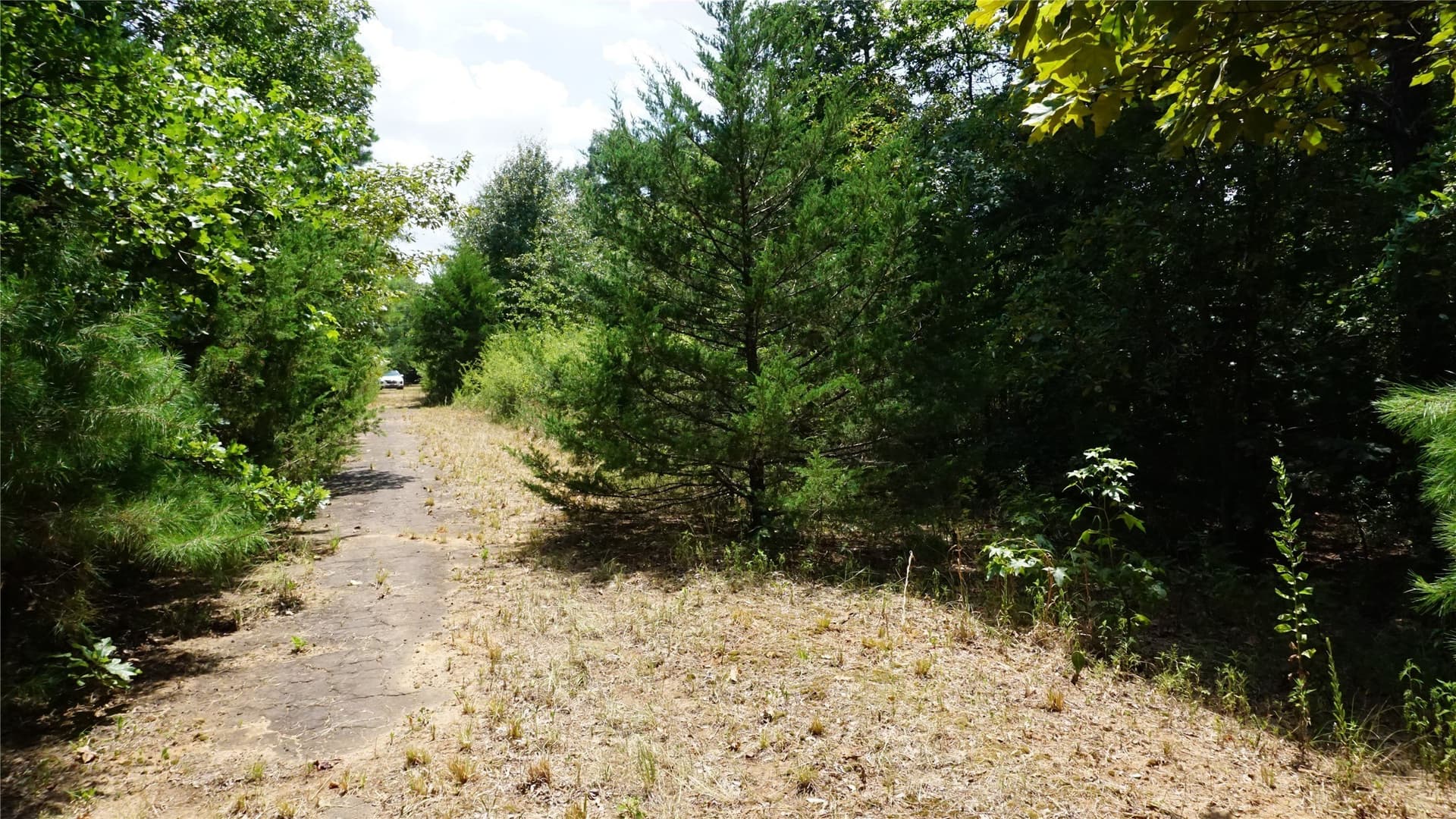 9 acres in Wood County - photo 16
