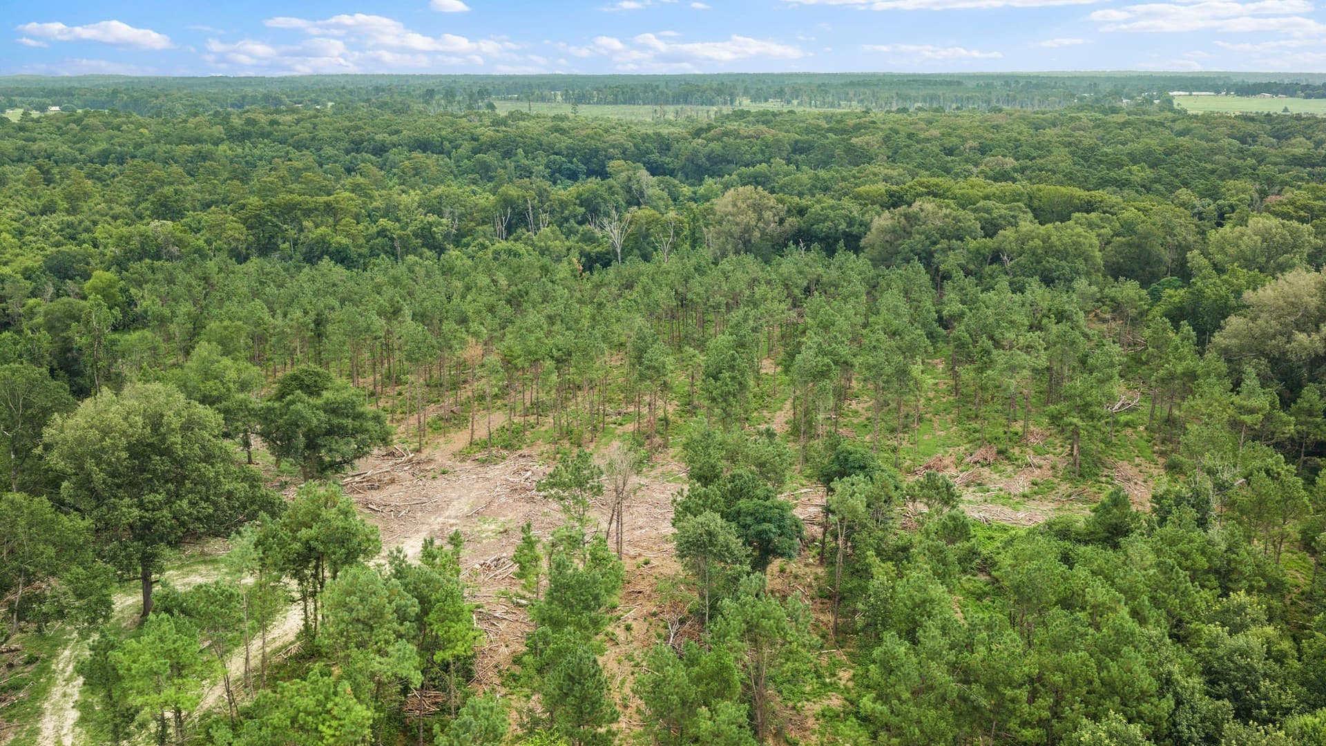 50.25 acres in Shelby County - photo 25