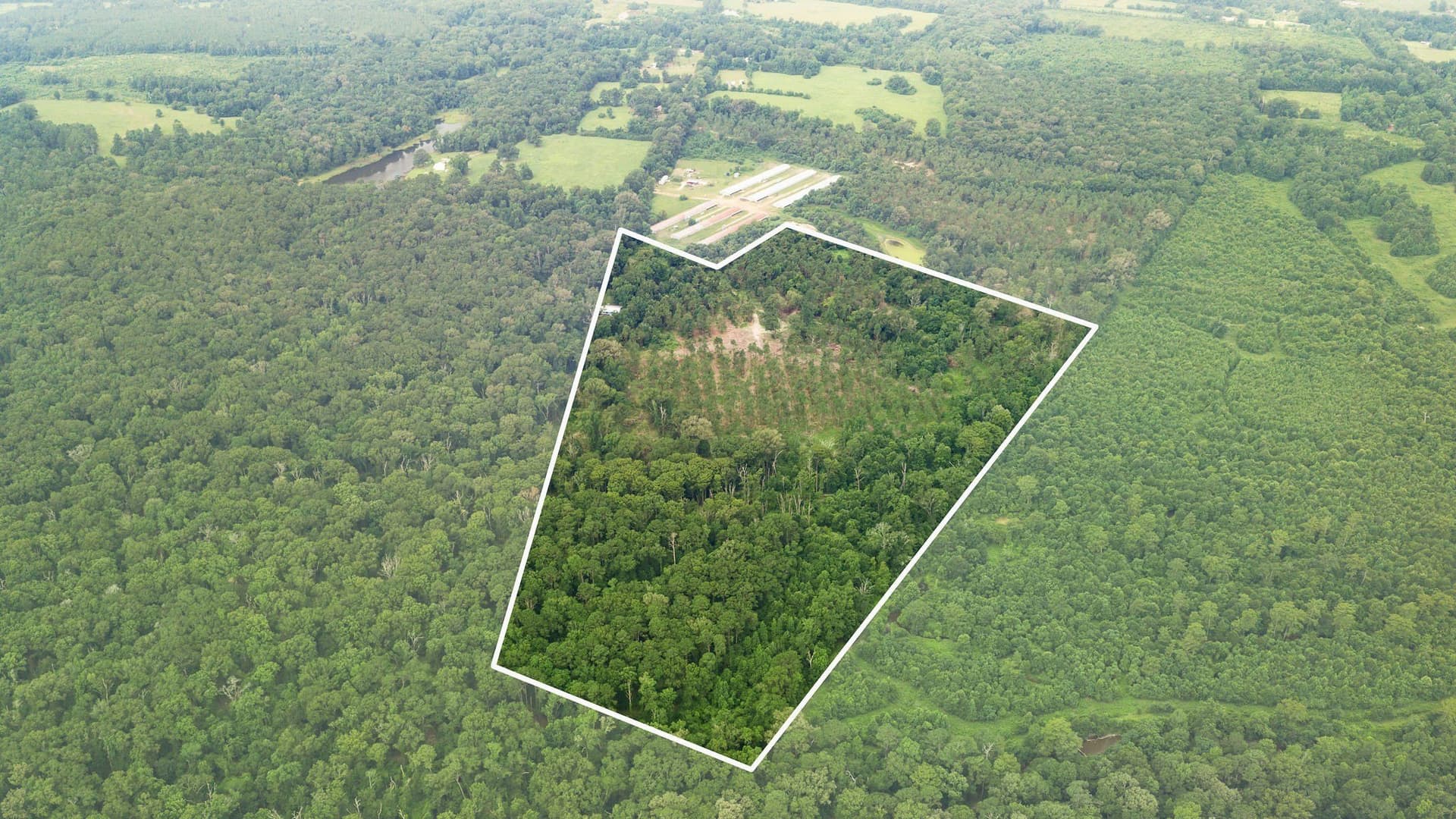 50.25 acres in Shelby County - photo 5