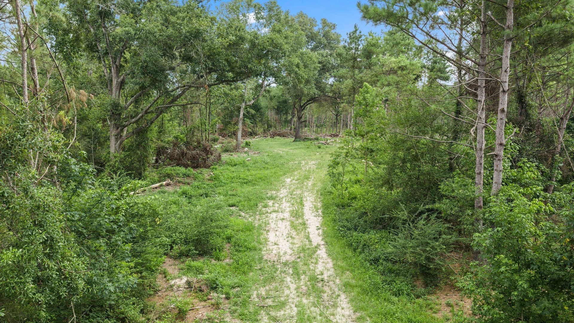 50.25 acres in Shelby County - photo 19
