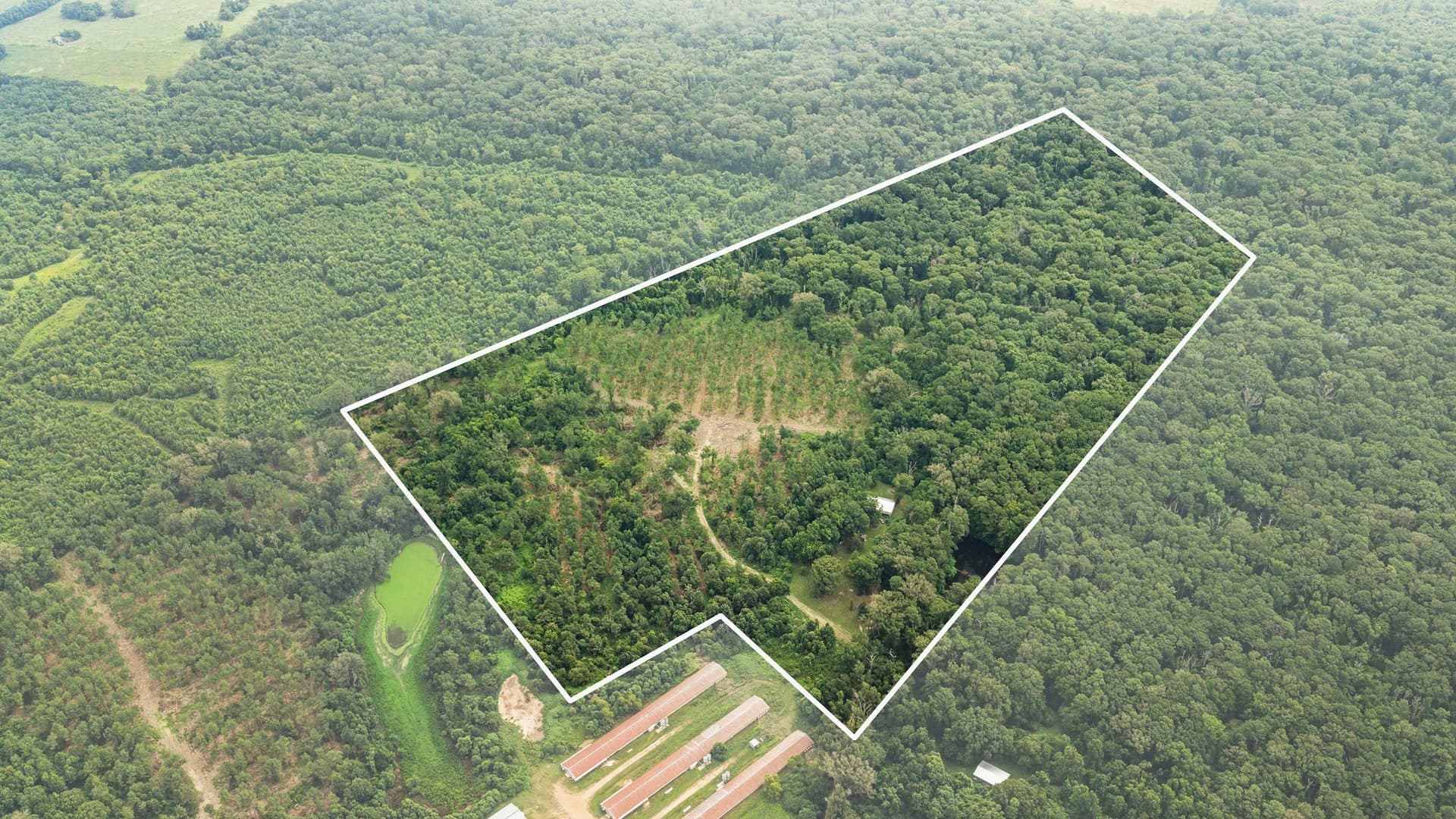 50.25 acres in Shelby County - photo 8