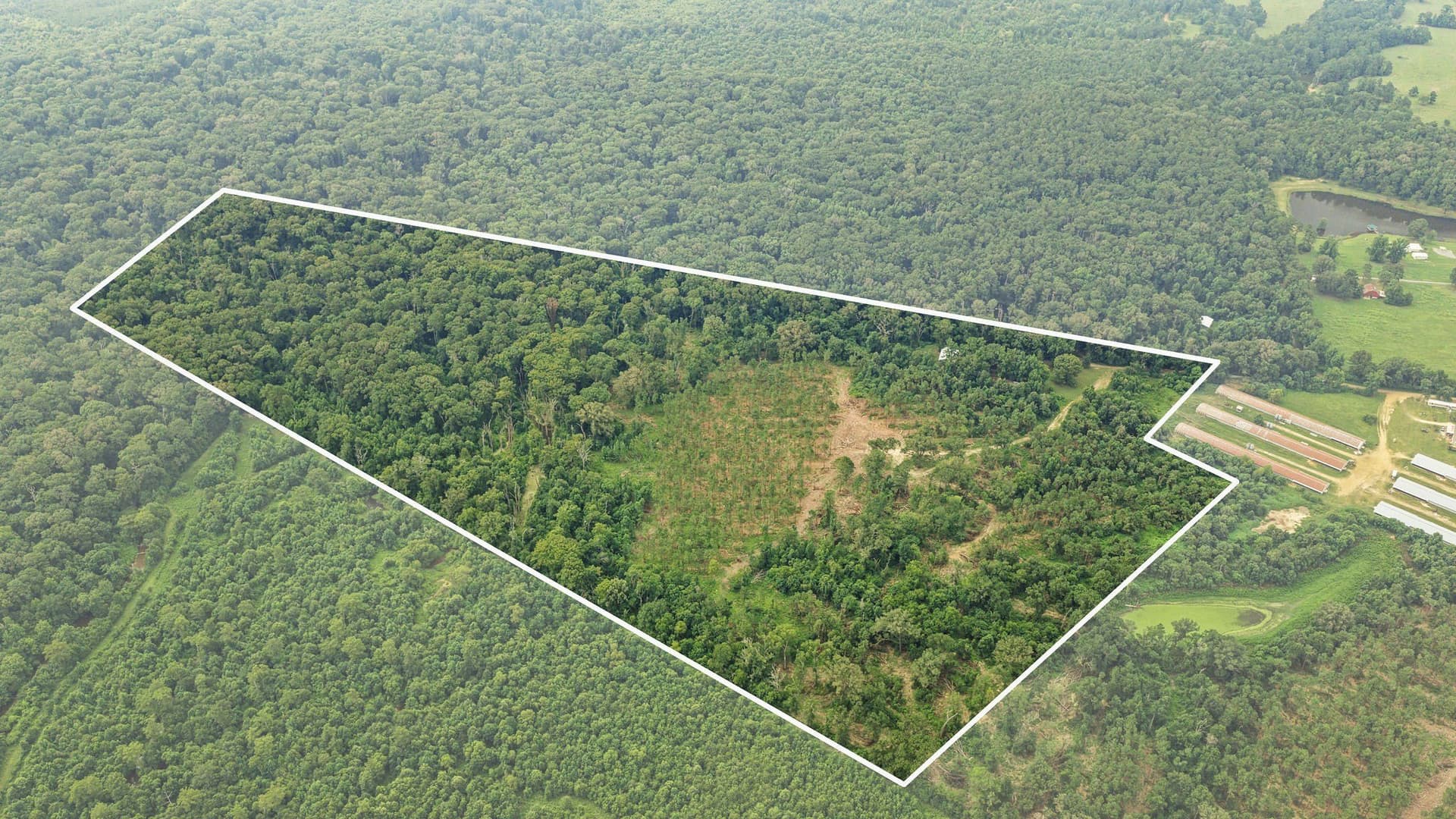 50.25 acres in Shelby County - photo 7