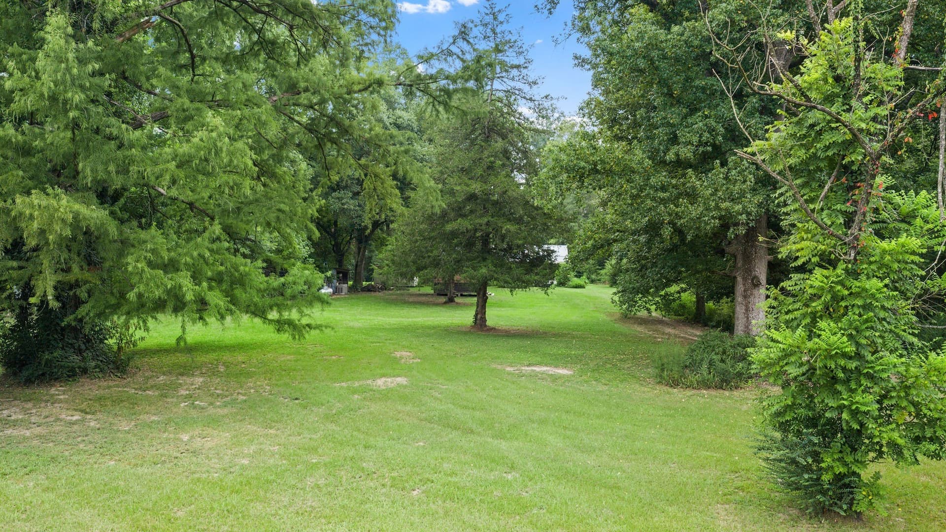 50.25 acres in Shelby County - photo 11