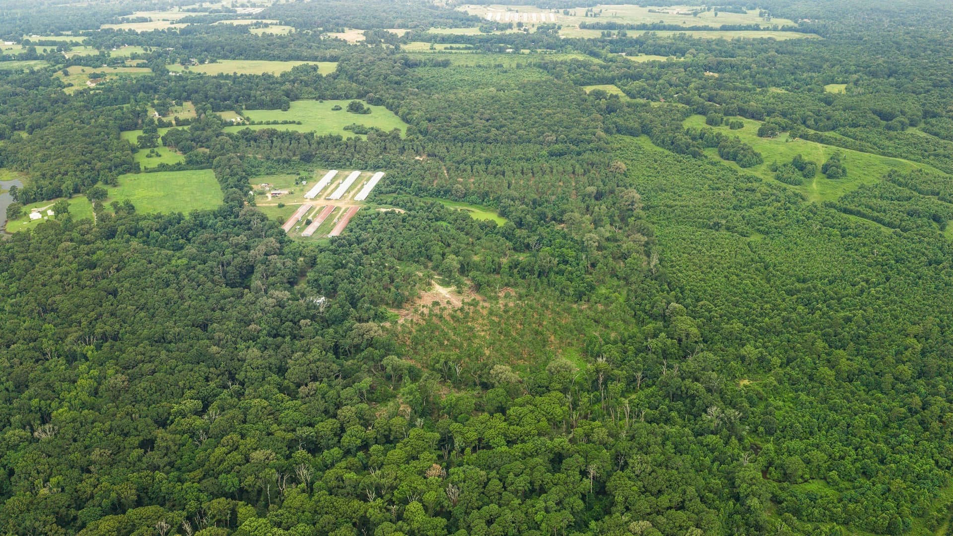 50.25 acres in Shelby County - photo 26