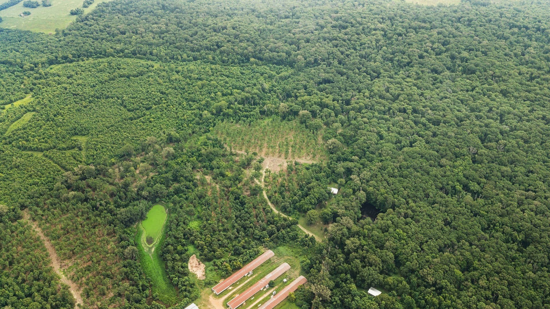 50.25 acres in Shelby County - photo 2