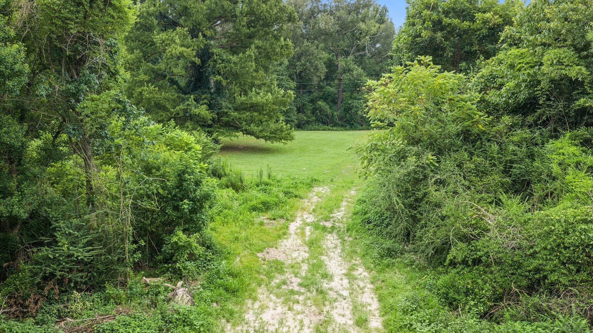 50.25 acres in Shelby County - photo 12