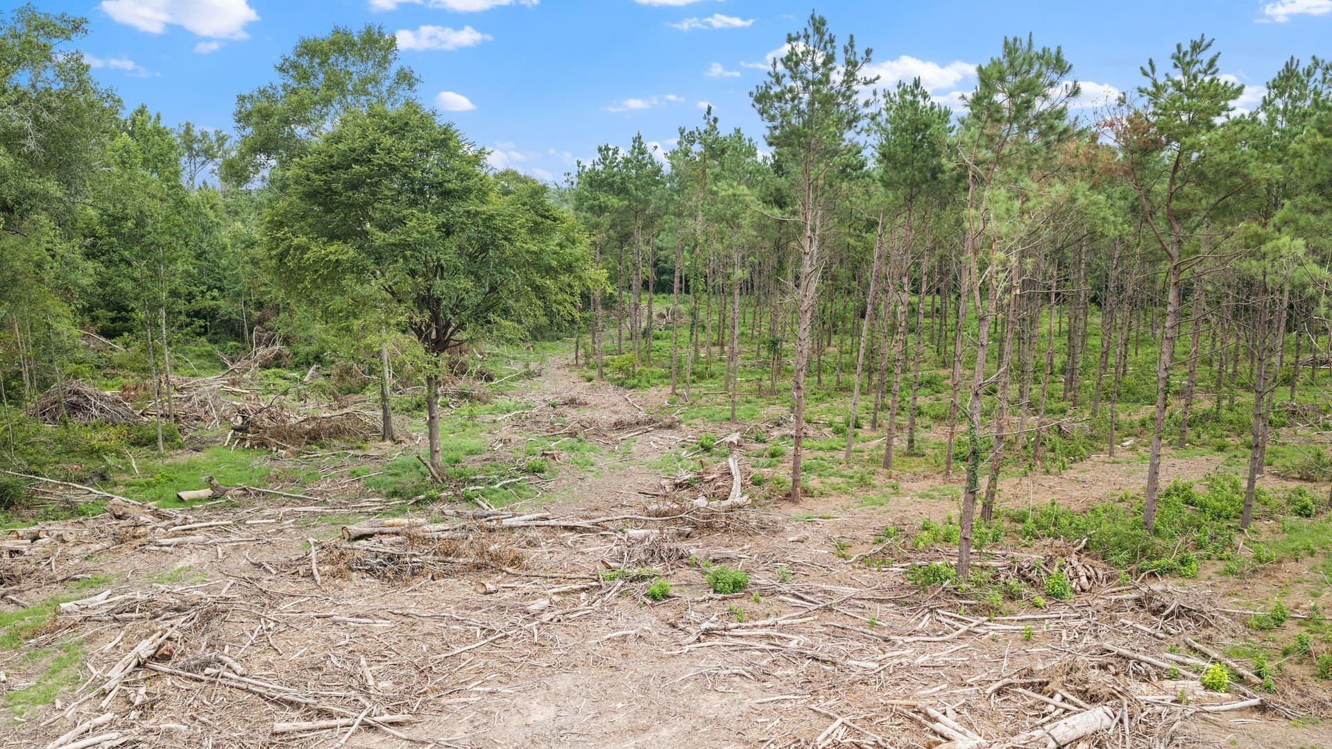 50.25 acres in Shelby County - photo 21