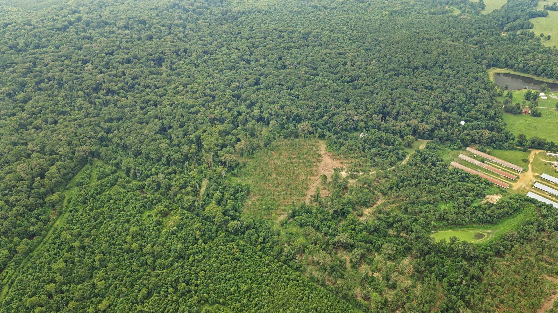 50.25 acres in Shelby County - photo 32