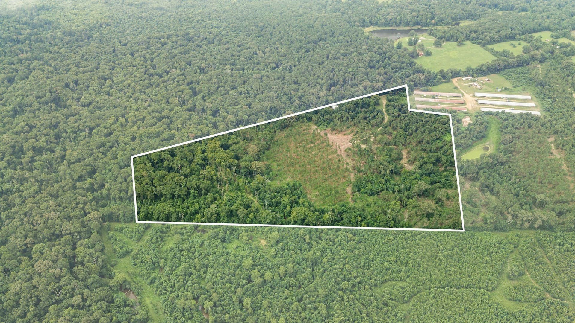 50.25 acres in Shelby County - photo 4