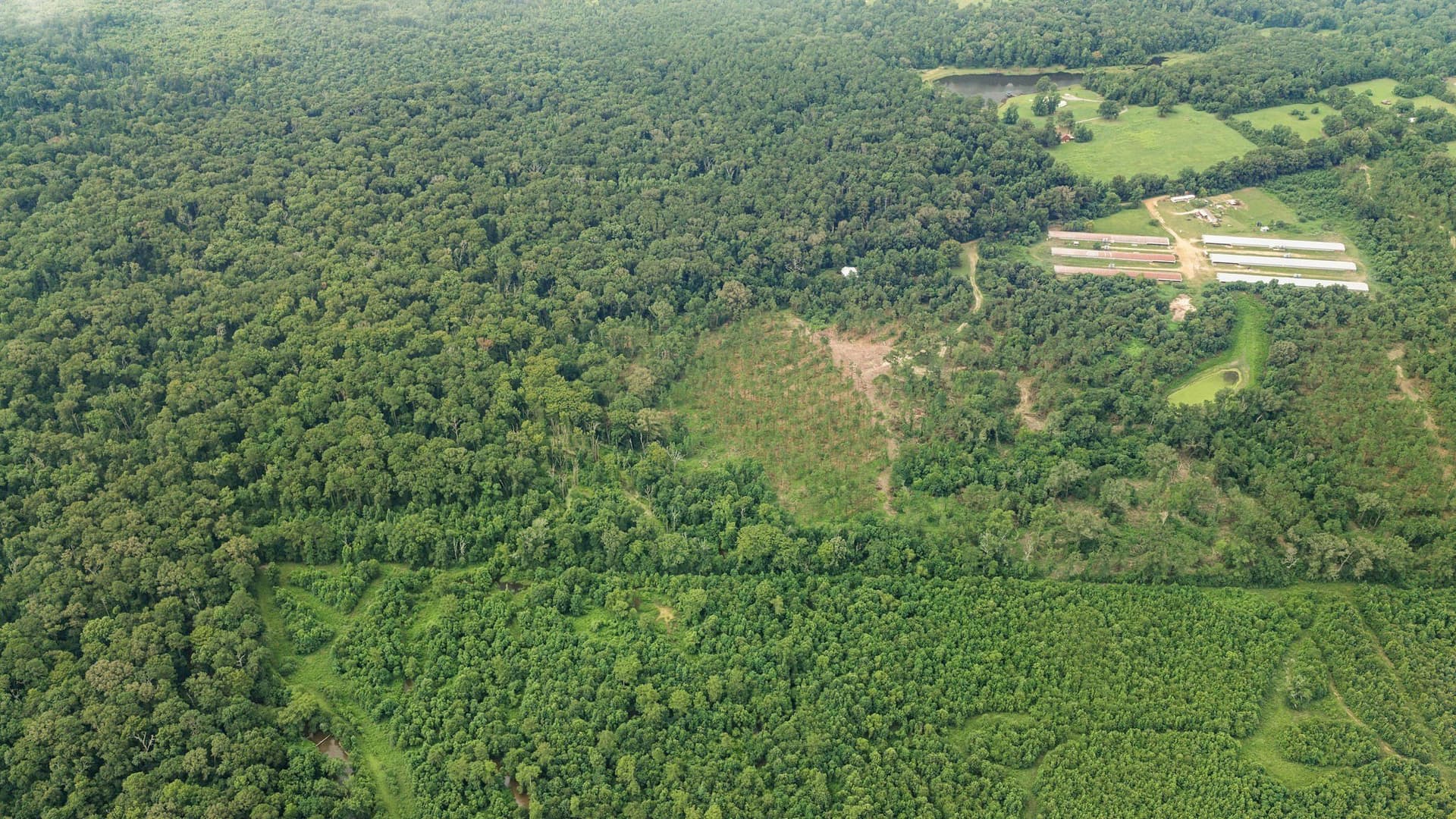 50.25 acres in Shelby County - photo 33