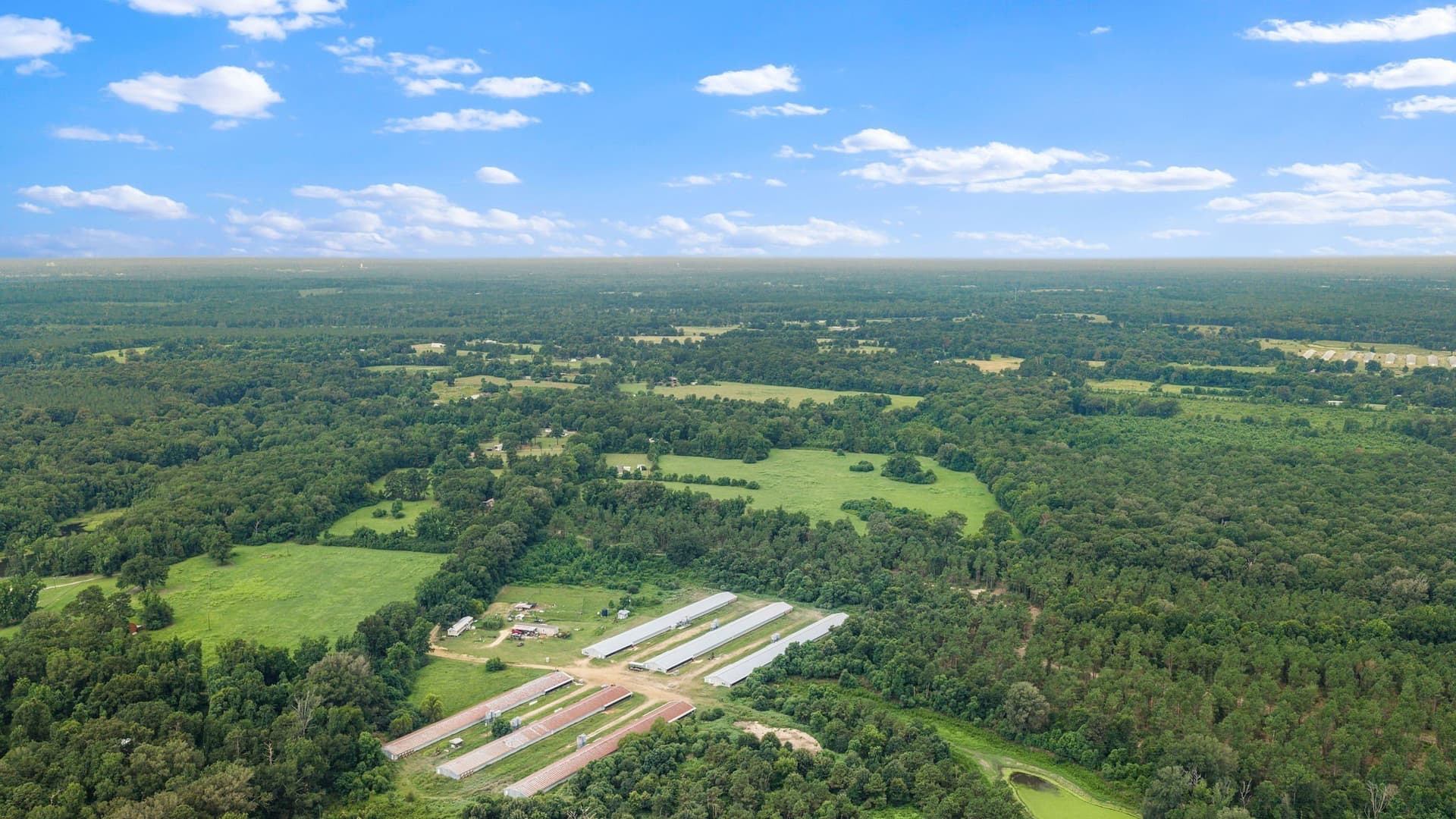50.25 acres in Shelby County - photo 31