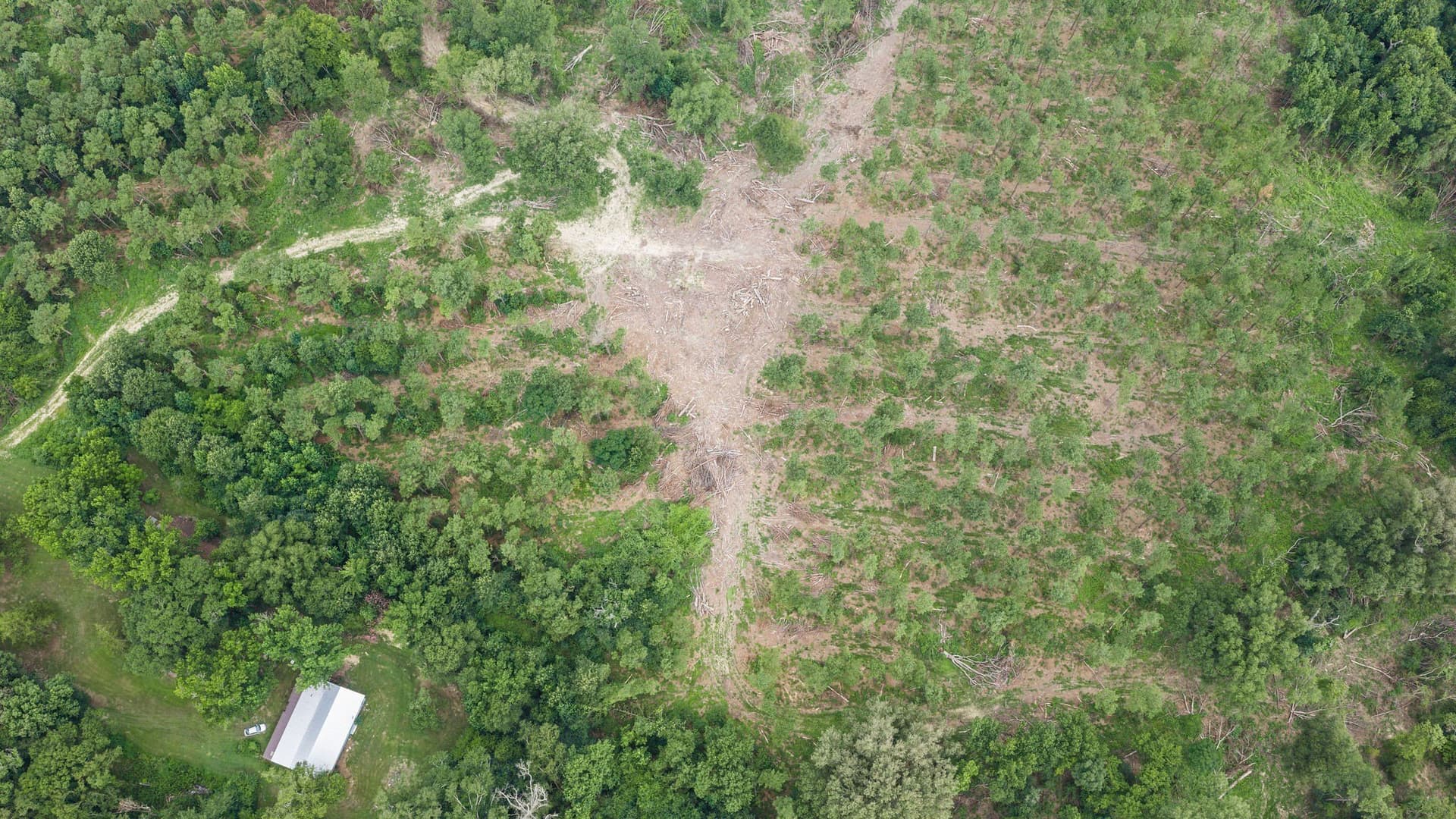 50.25 acres in Shelby County - photo 20