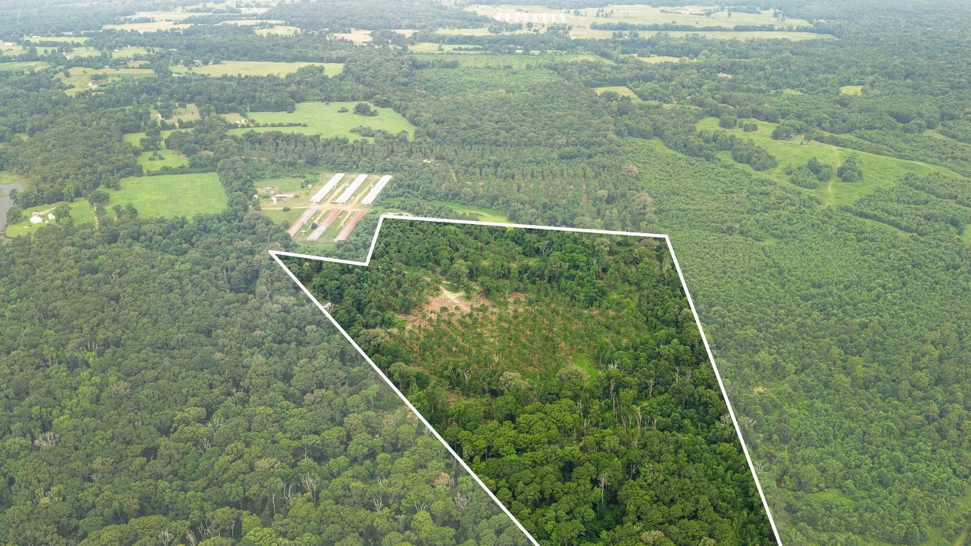 50.25 acres in Shelby County - photo 3