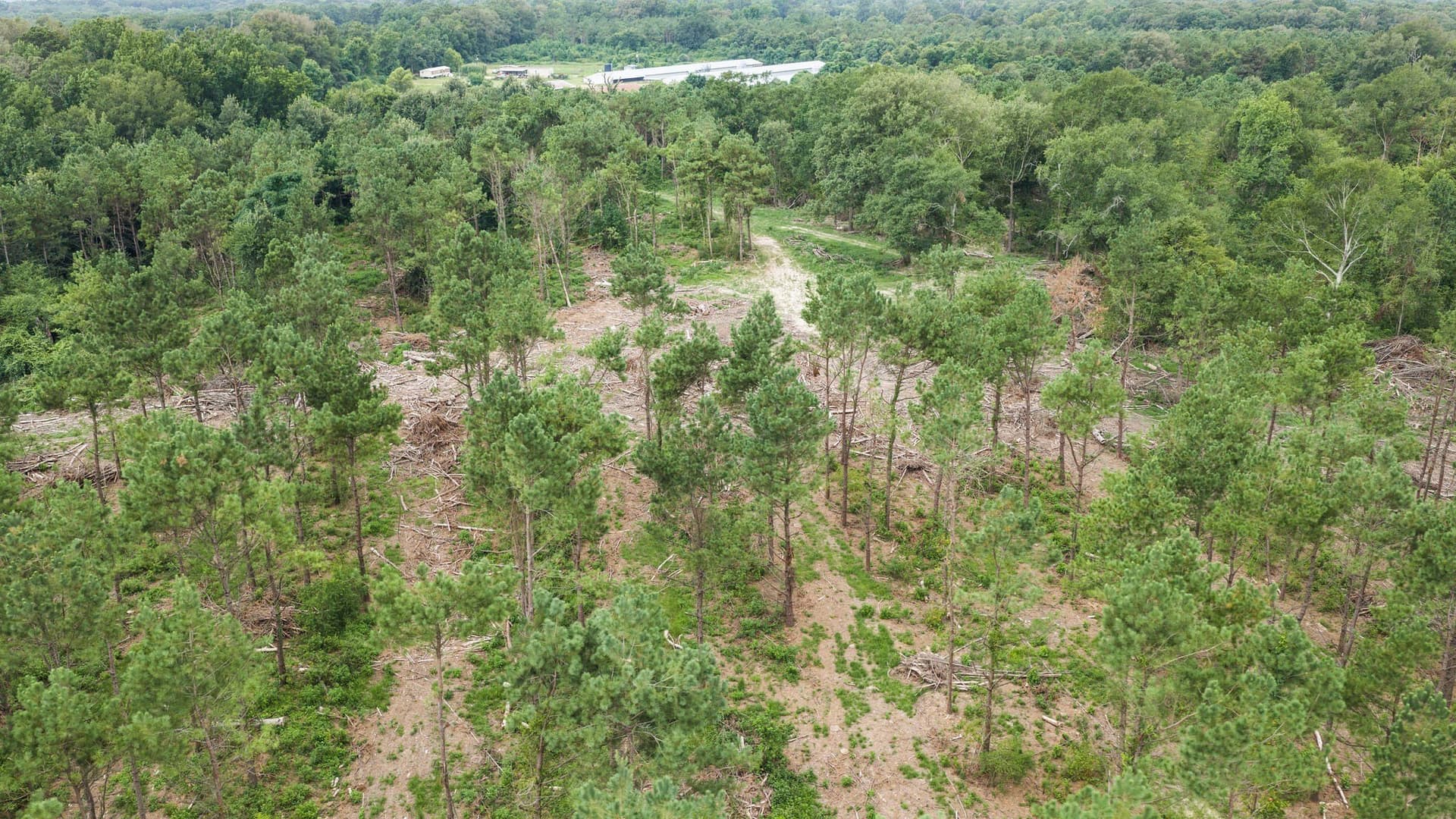 50.25 acres in Shelby County - photo 22