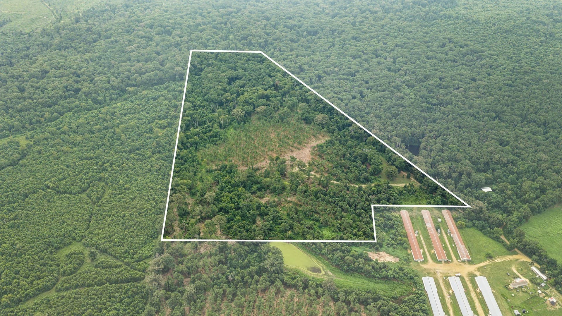 50.25 acres in Shelby County - photo 6
