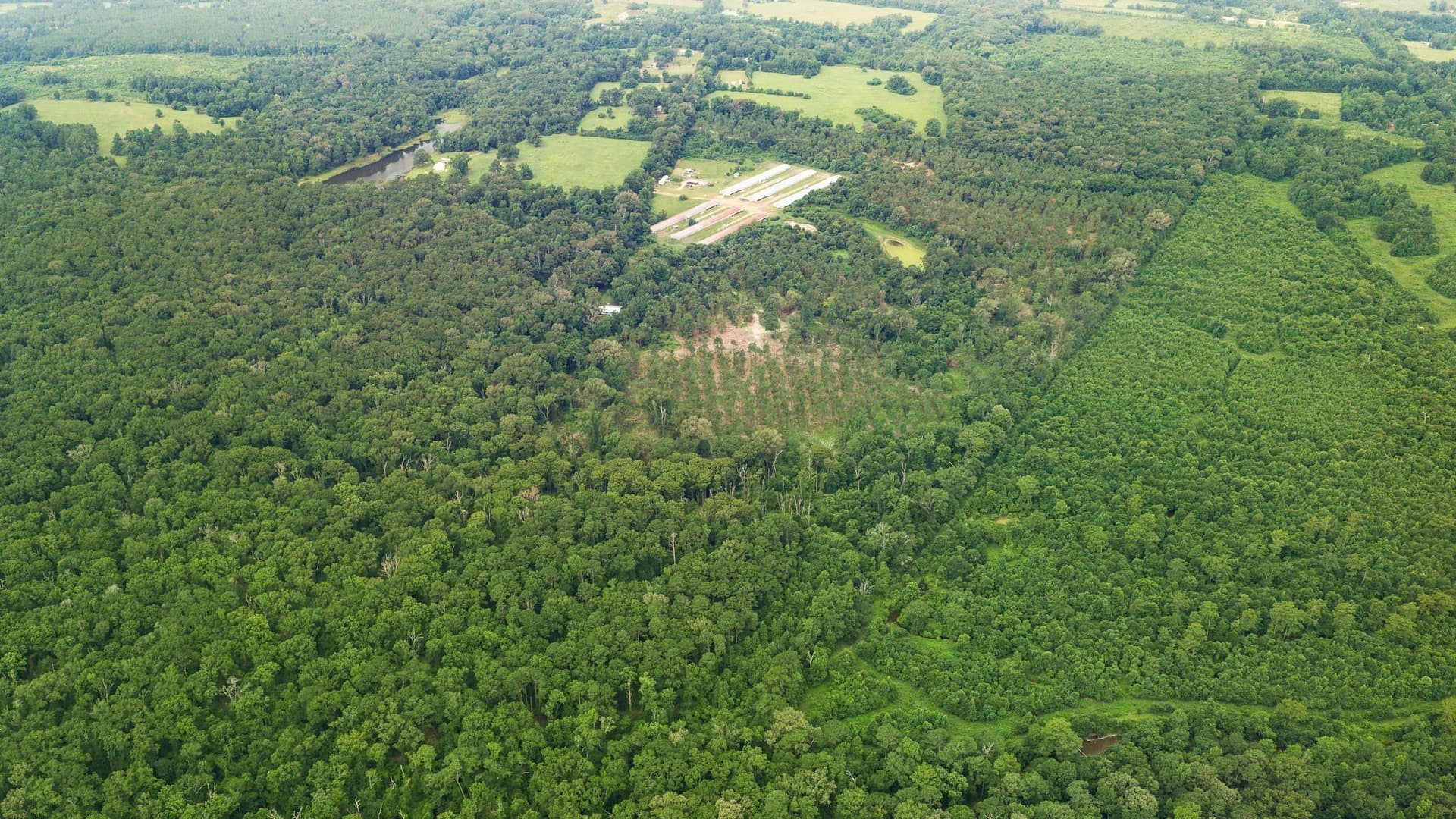 50.25 acres in Shelby County - photo 28