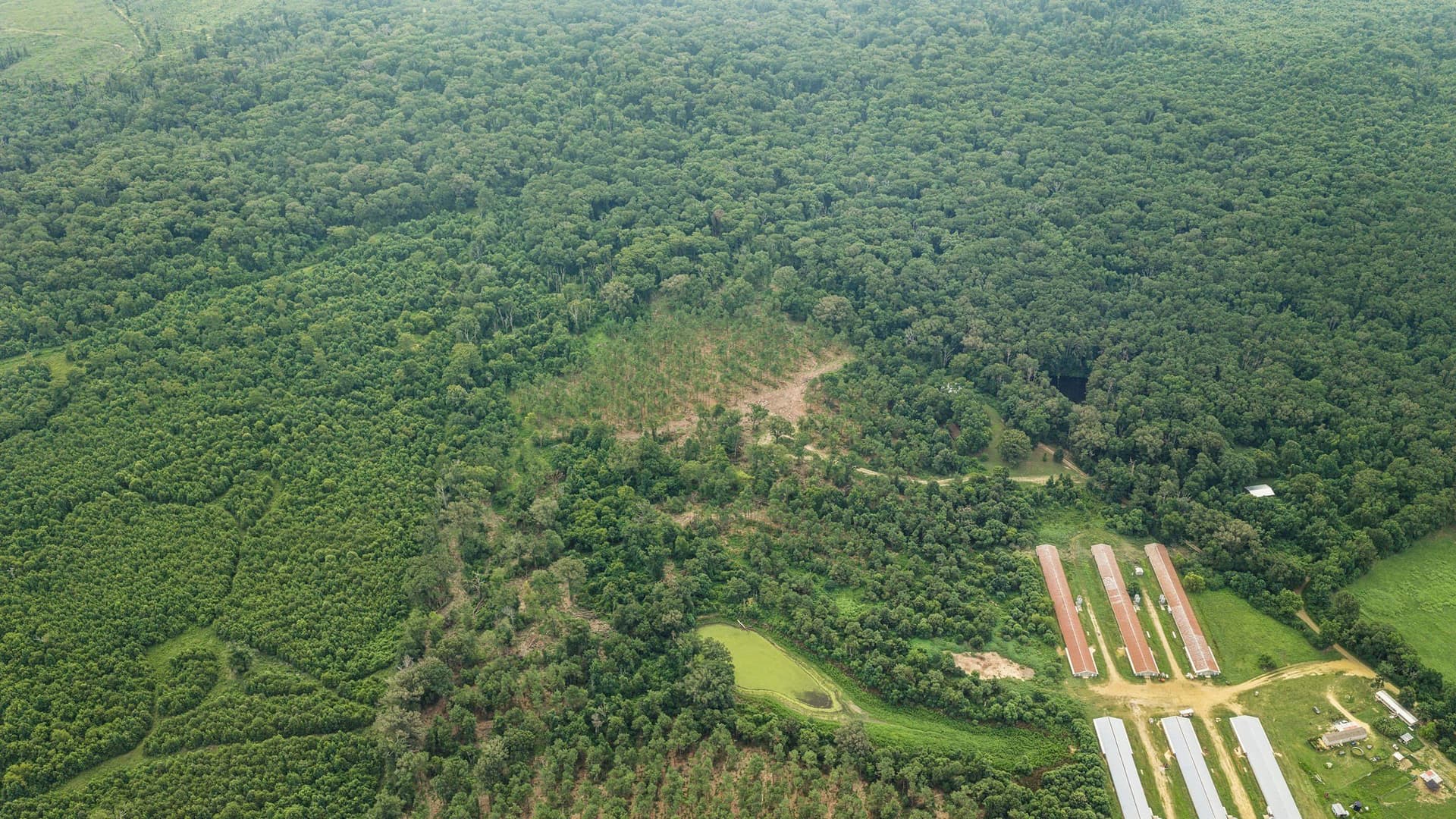 50.25 acres in Shelby County - photo 30