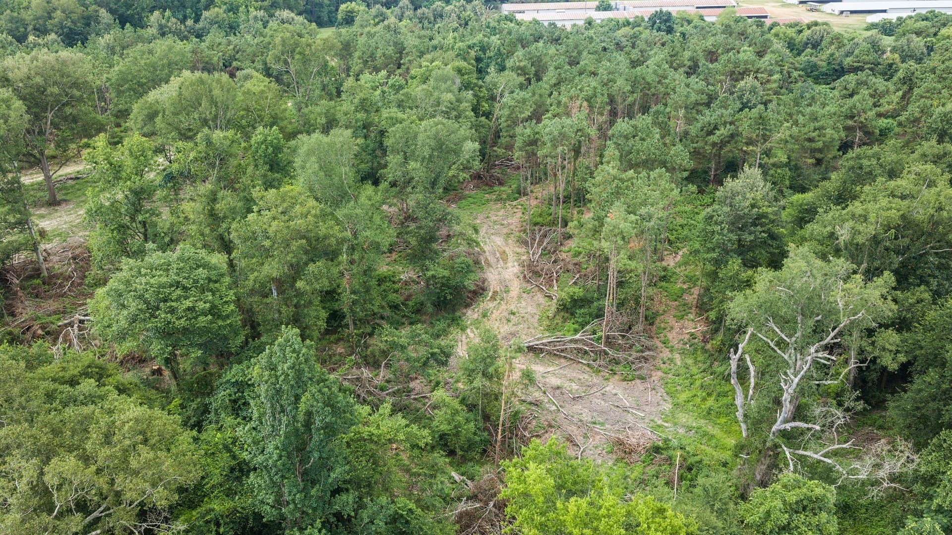 50.25 acres in Shelby County - photo 29