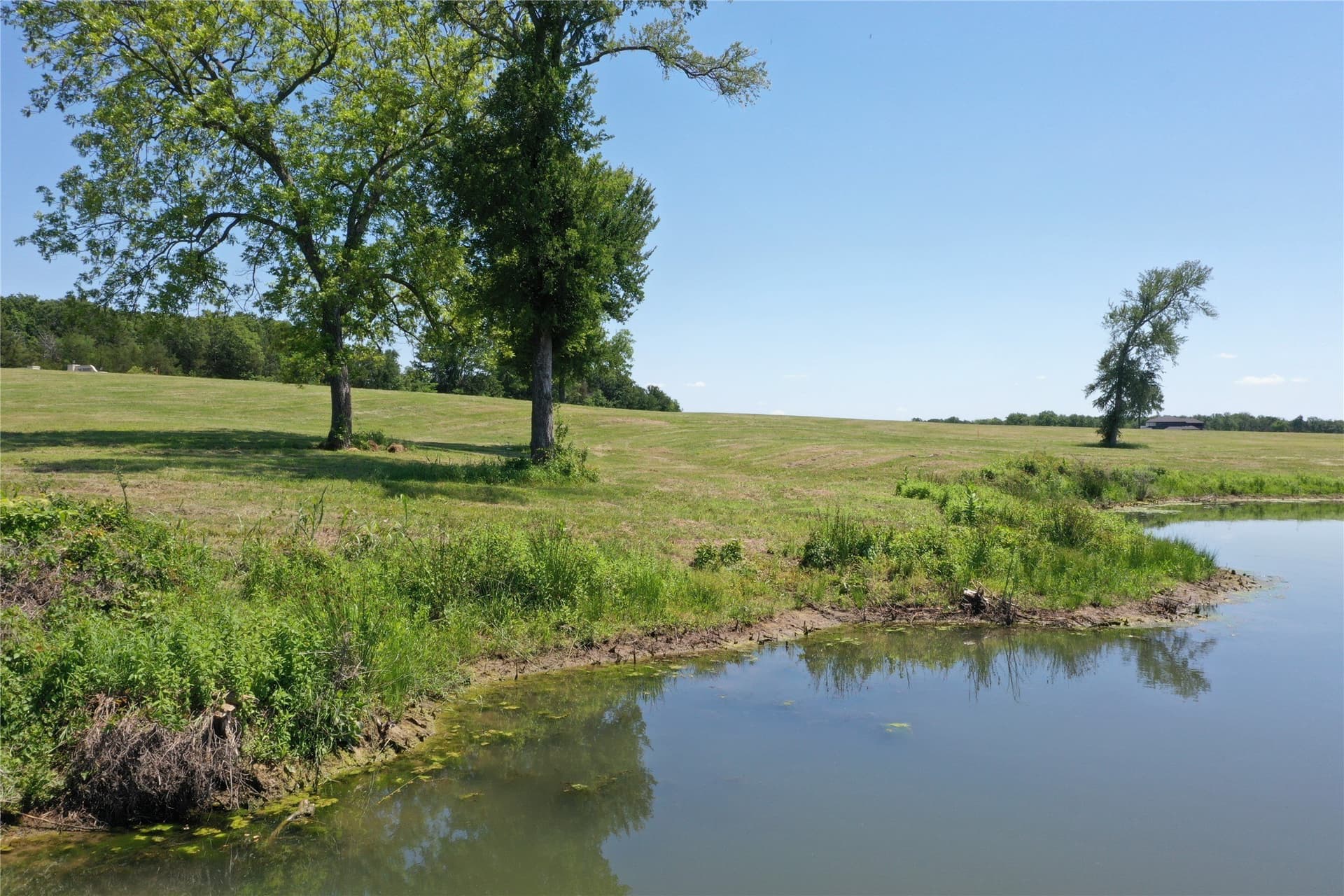 1.19 acres in Fannin County - photo 7