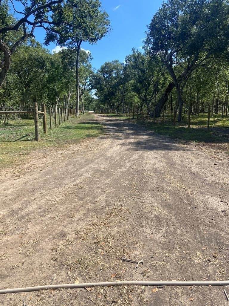 20 acres in Texas County featured view
