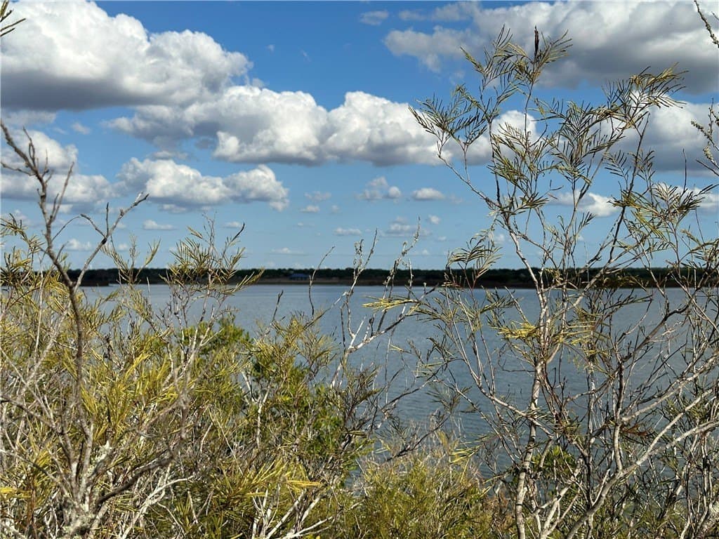 0.59 acres in Live Oak County - photo 8