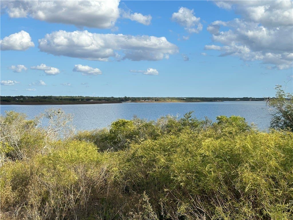 0.59 acres in Live Oak County - photo 6