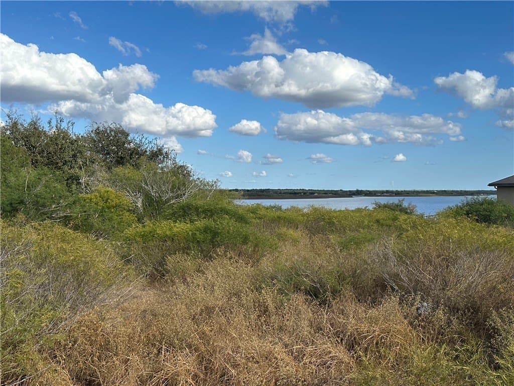 0.59 acres in Live Oak County featured view