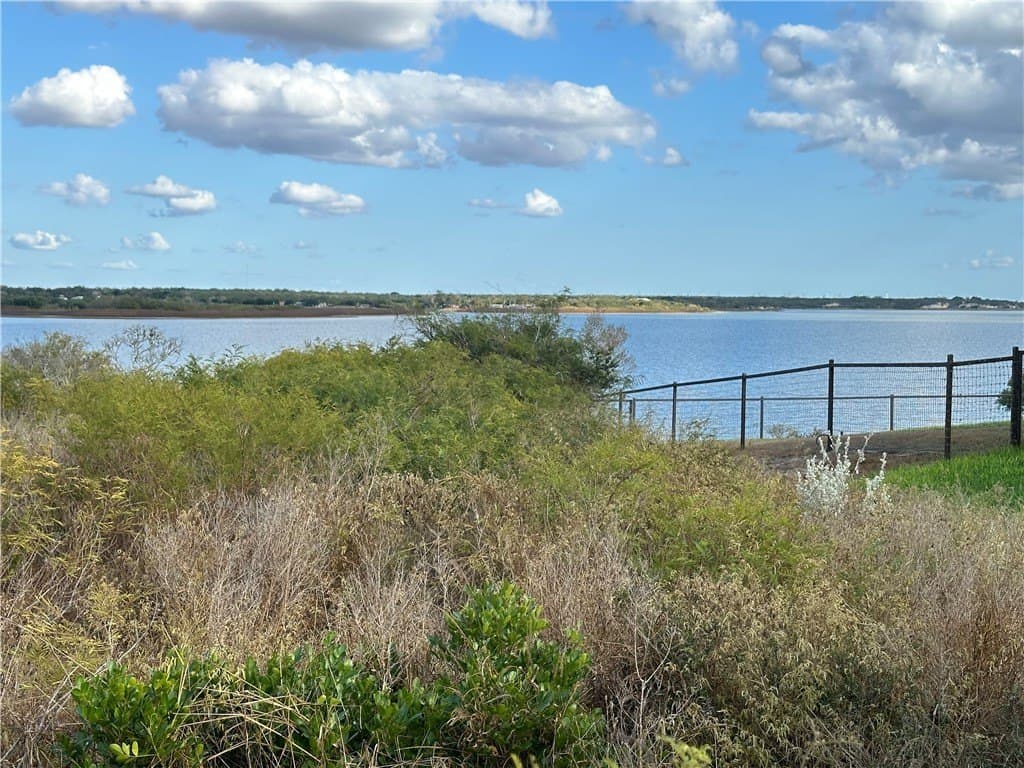 0.59 acres in Live Oak County - photo 7